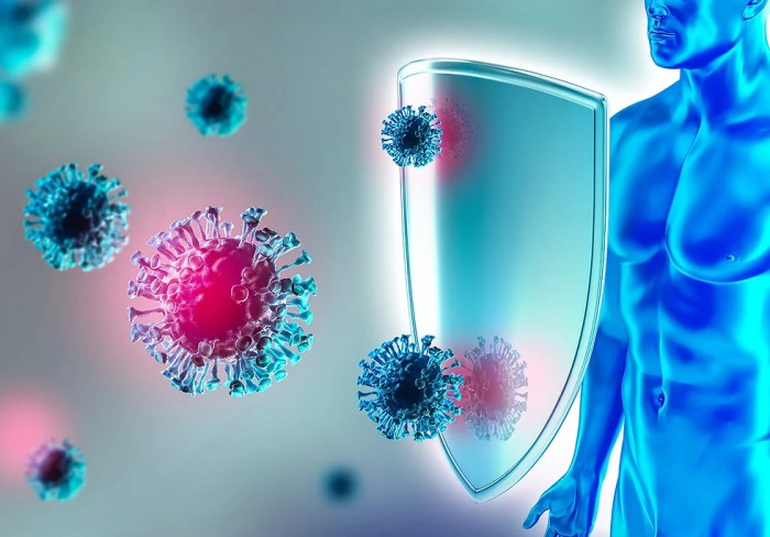 Gesunde ernährung für das immunsystem