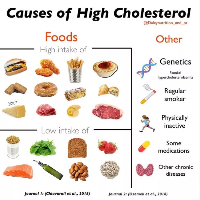 Zu hohes cholesterin trotz gesunder ernährung