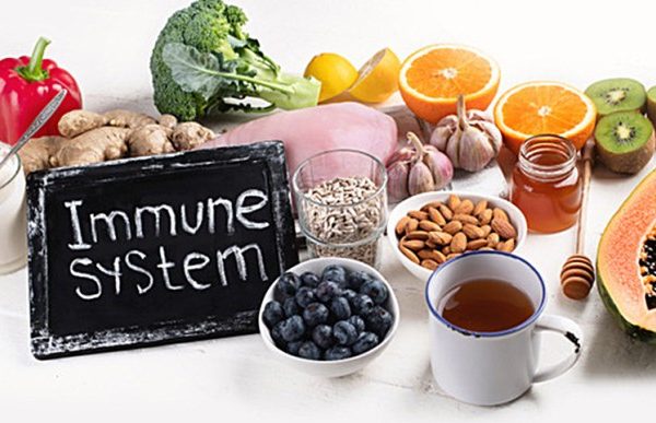 Gesunde ernährung für das immunsystem